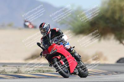 media/Oct-13-2025-Moto Forza (Mon) [[a66d839500]]/3-B Group/Session 4 Turn 4 Tree of Life/